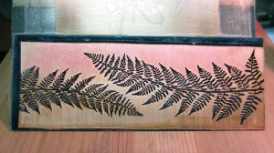 fern design for roll printing