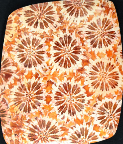 fossil coral stone